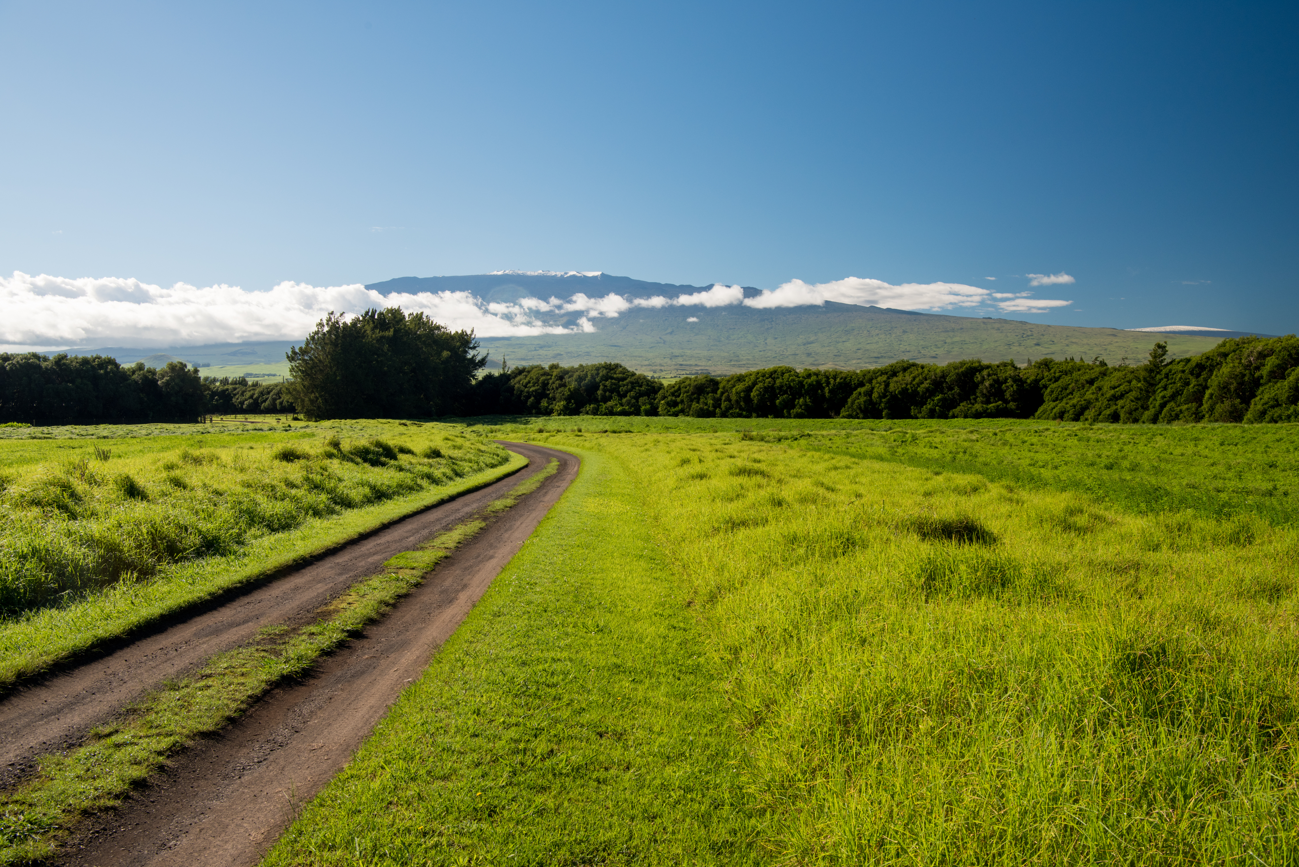Buying a Home in Waimea Between $1 Million and $2 Million: What the Data Tells Us