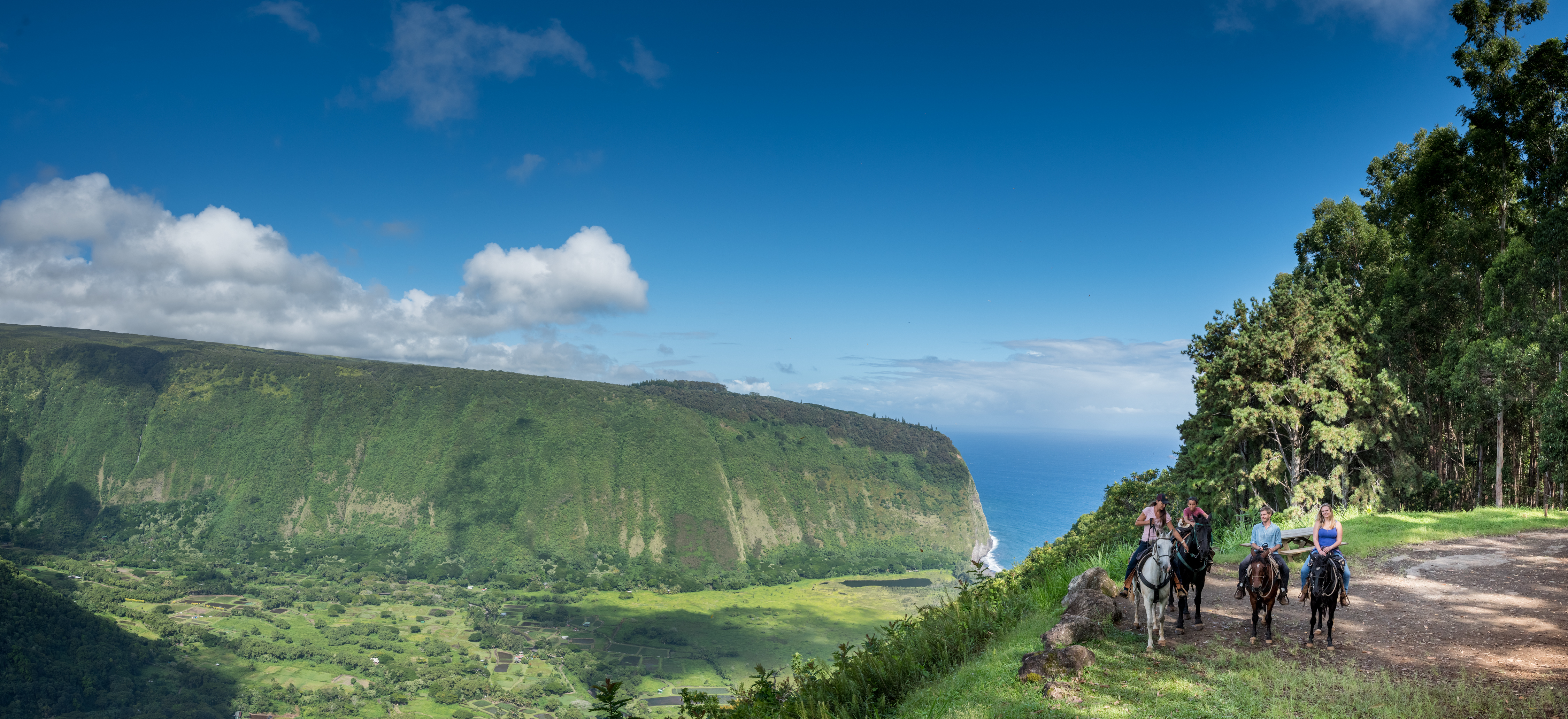 Hawaii is paradise because of its people and the Hawaiian culture!