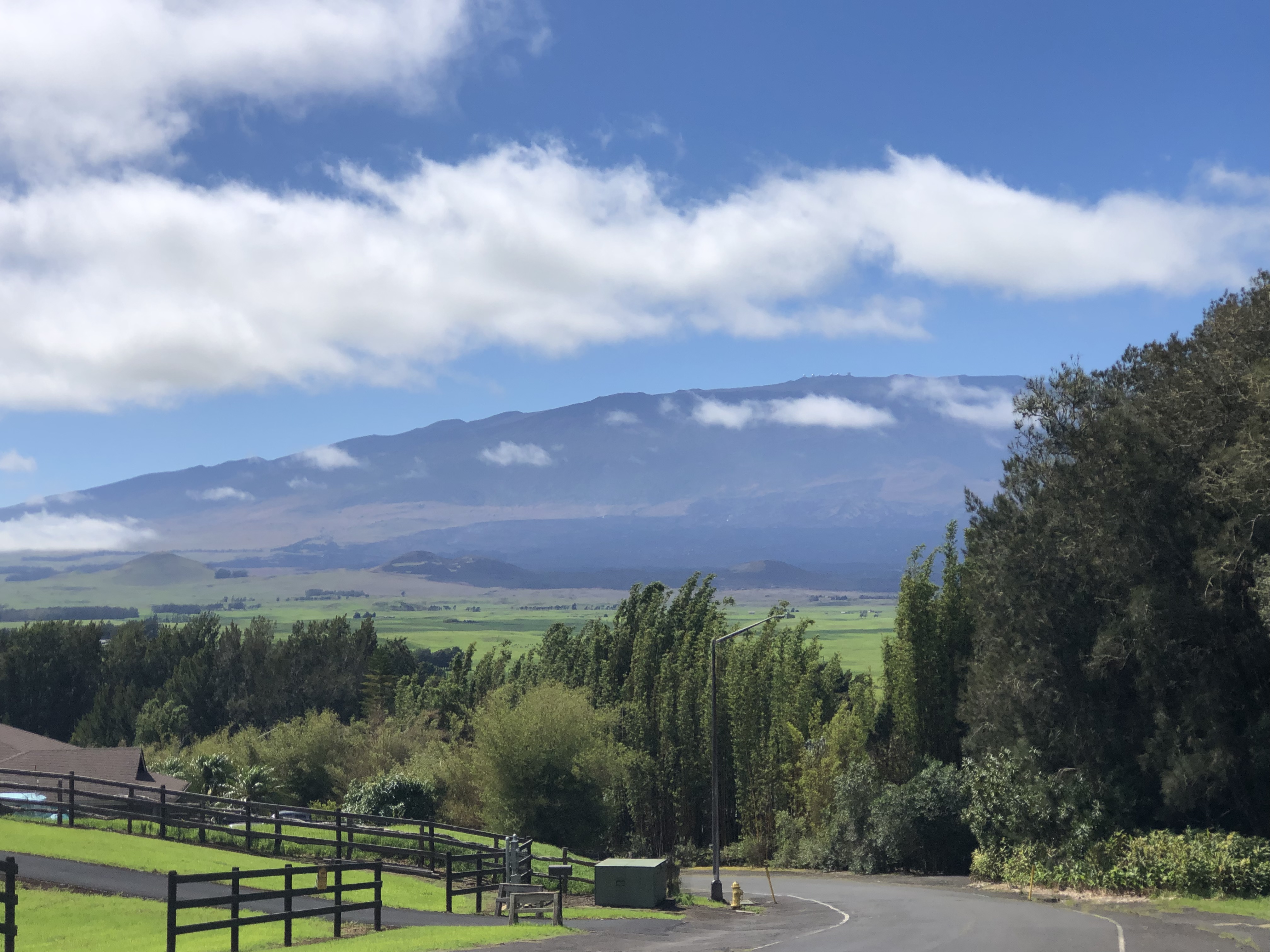 Showing area where fire originated